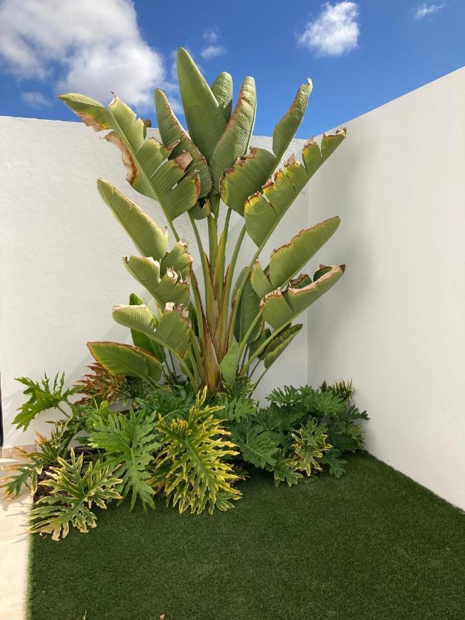 Casa Alice Villa Playa Blanca  Exterior photo